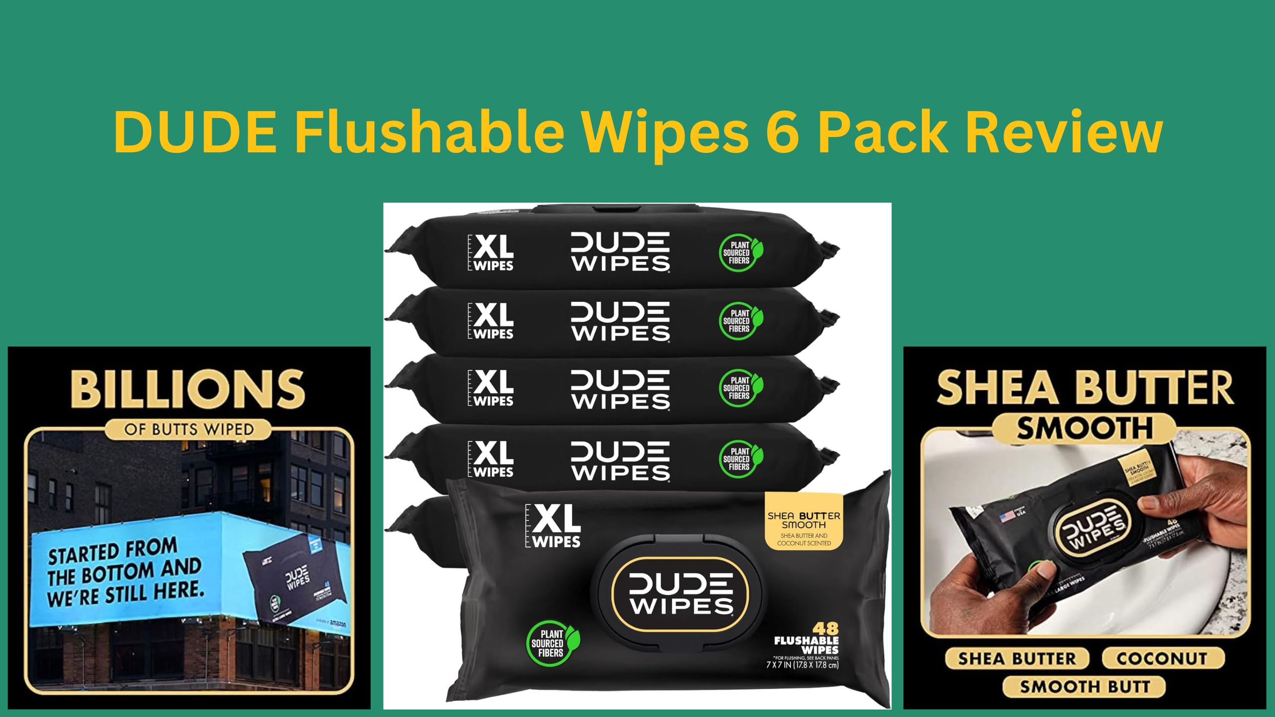 DUDE Flushable Wipes 6 Pack Review