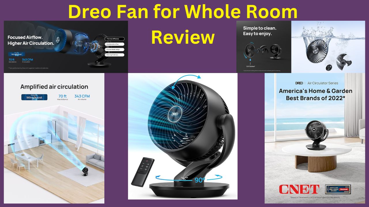 Dreo Fan for Whole Room Review