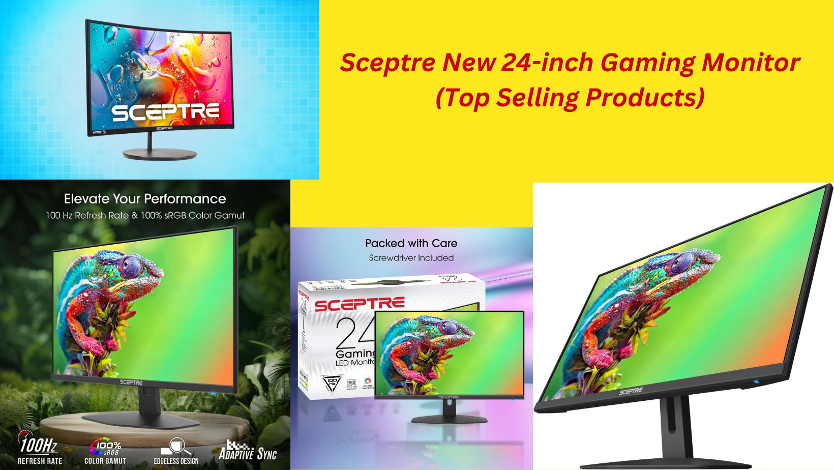 Sceptre New 24-inch Gaming Monitor